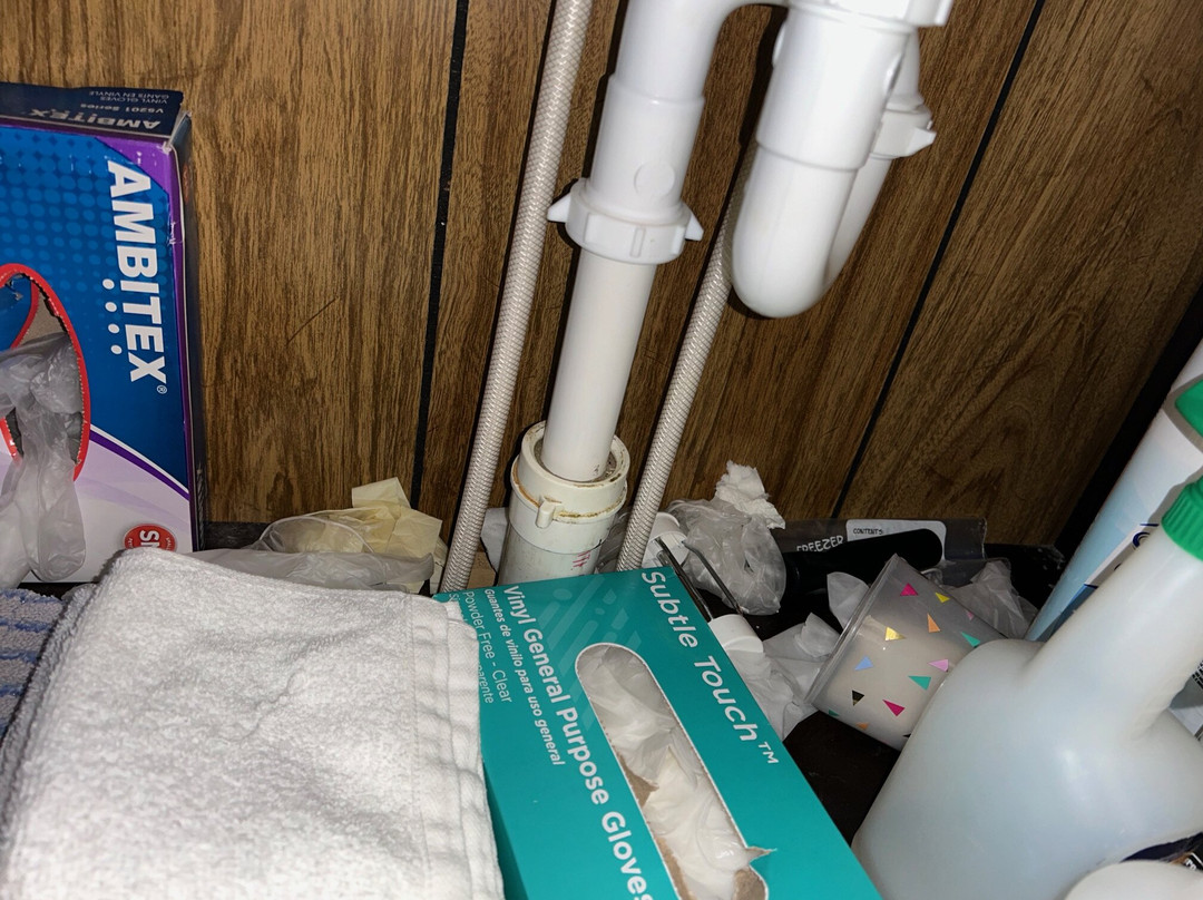 Andy Griffith's Homeplace主图