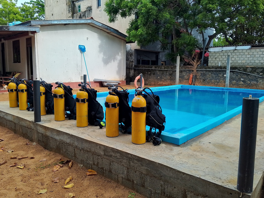 Scuba Safaris Trincomalee-Trincomalee必去景点