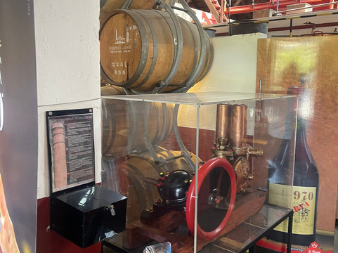 Island explorer Madeira by 4X4-马德拉群岛必去景点