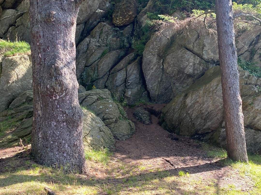 Viking Adventure-Haugesund必去景点