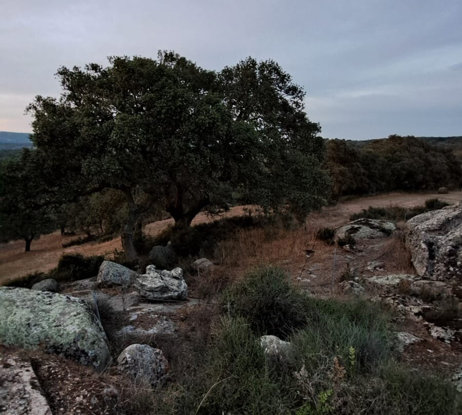Azienda Agrituristica Chicchiritanos主图