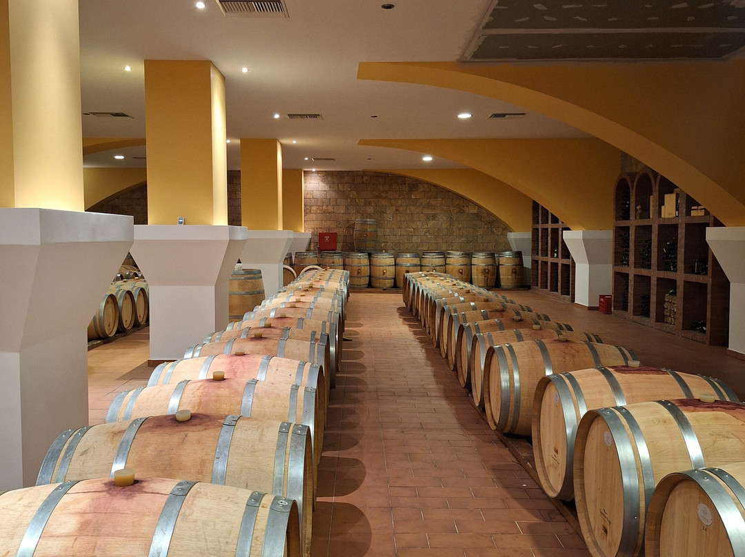 KTIMA AKRANI (Triantafyllopoulos Winery)-Kos Town必去景点