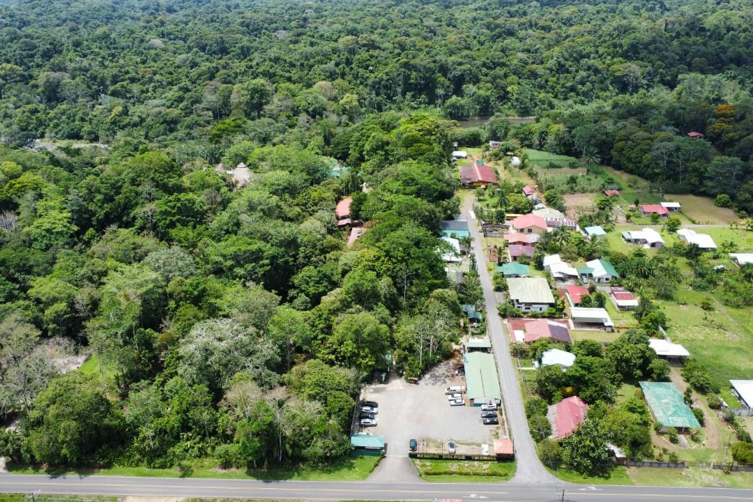 Tirimbina Rainforest Lodge主图