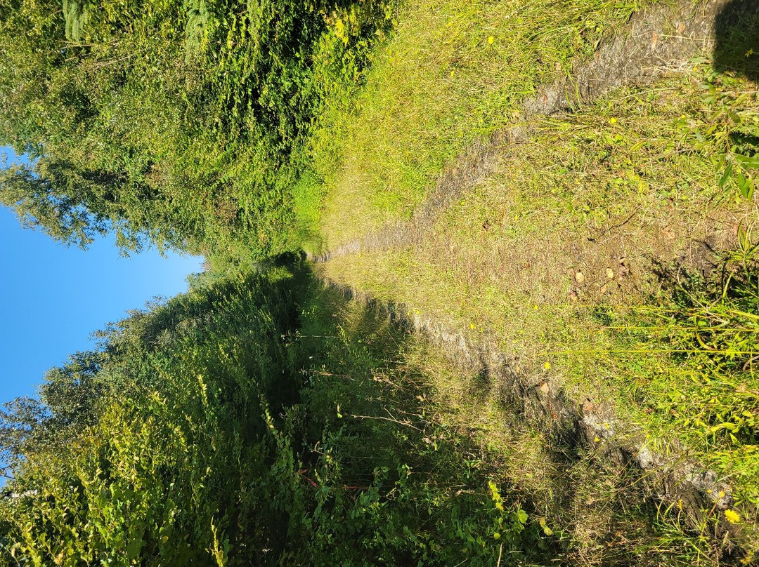 Mount Pisgah-East Burke必去景点