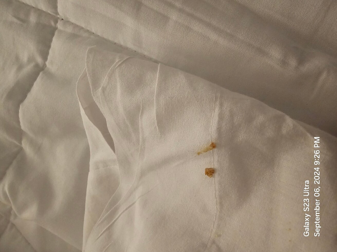 The Creekstone主图