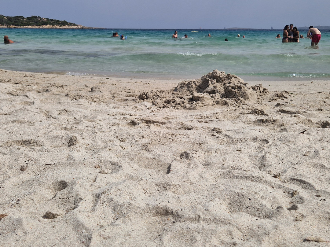 Spiaggia del Relitto-Caprera必去景点
