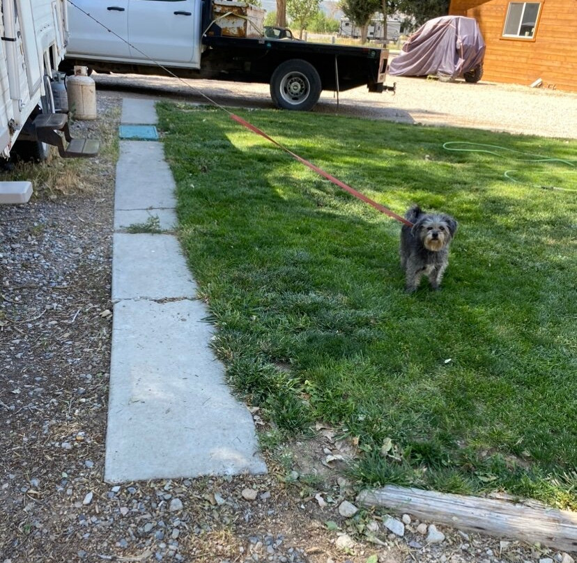 Jones High Country RV Camp