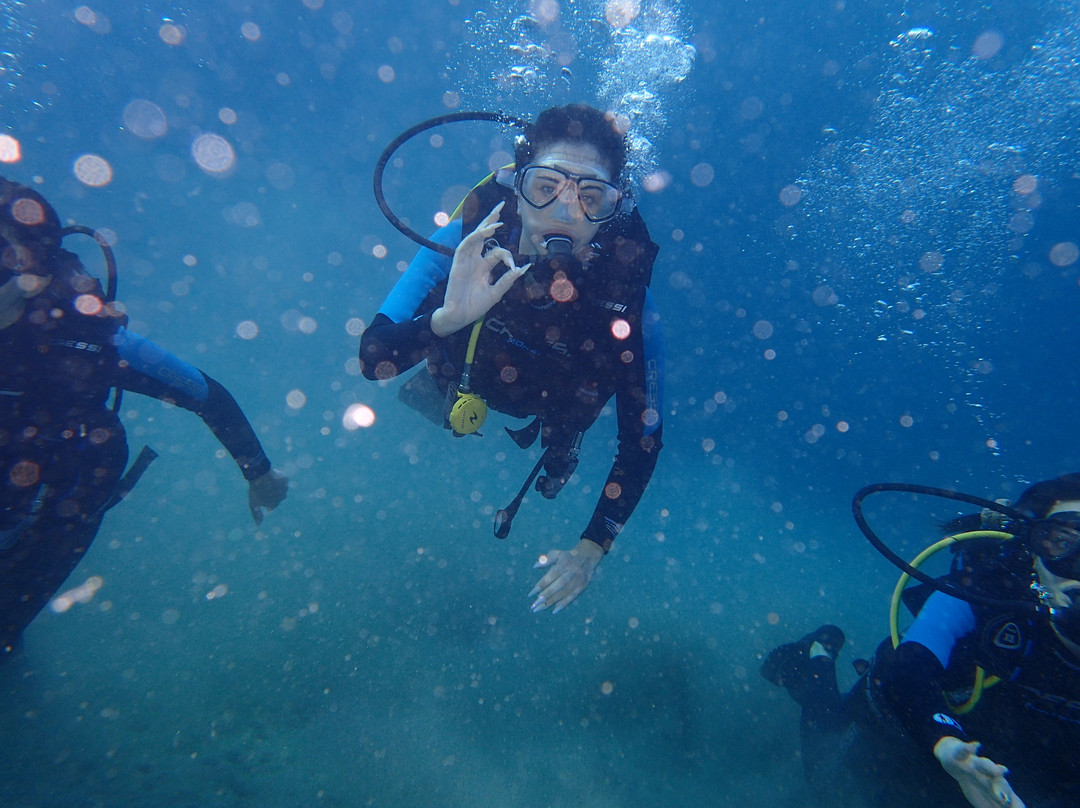 Alonissos Seacolours Dive Center景点图片