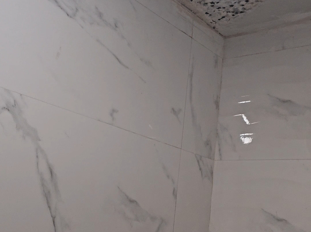 Ambar Sarovar Portico主图