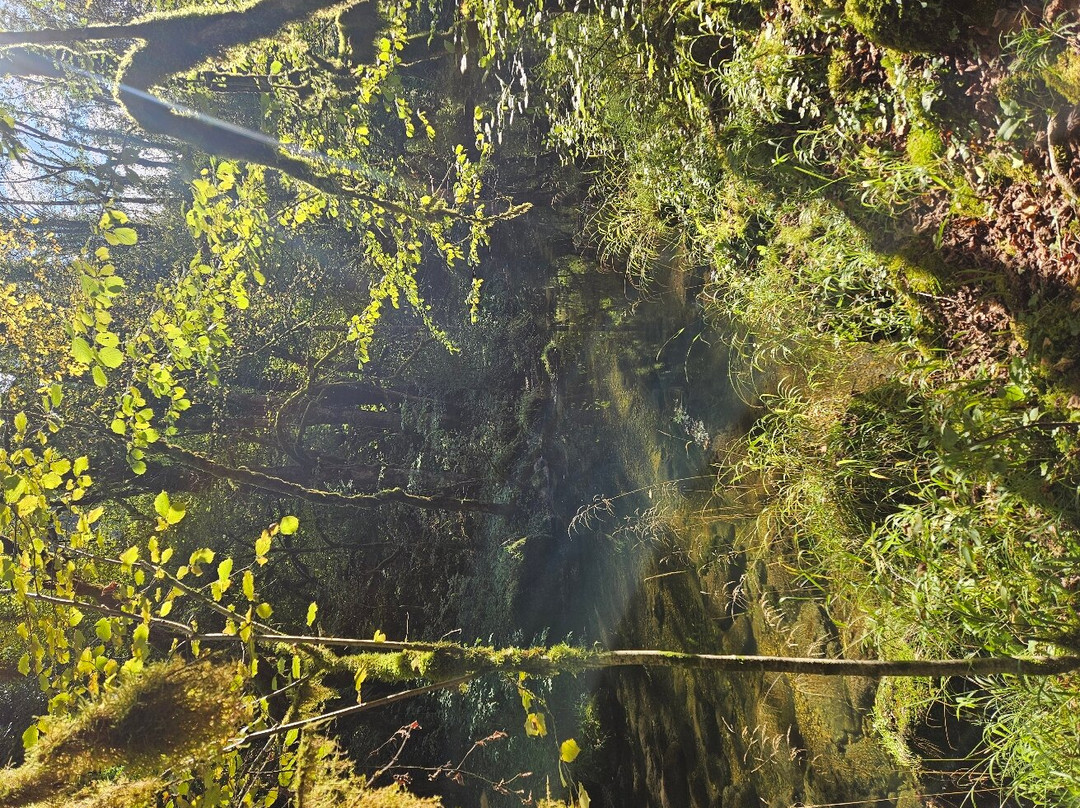 Cascade de la Charabotte-Hauteville-Lompnes必去景点