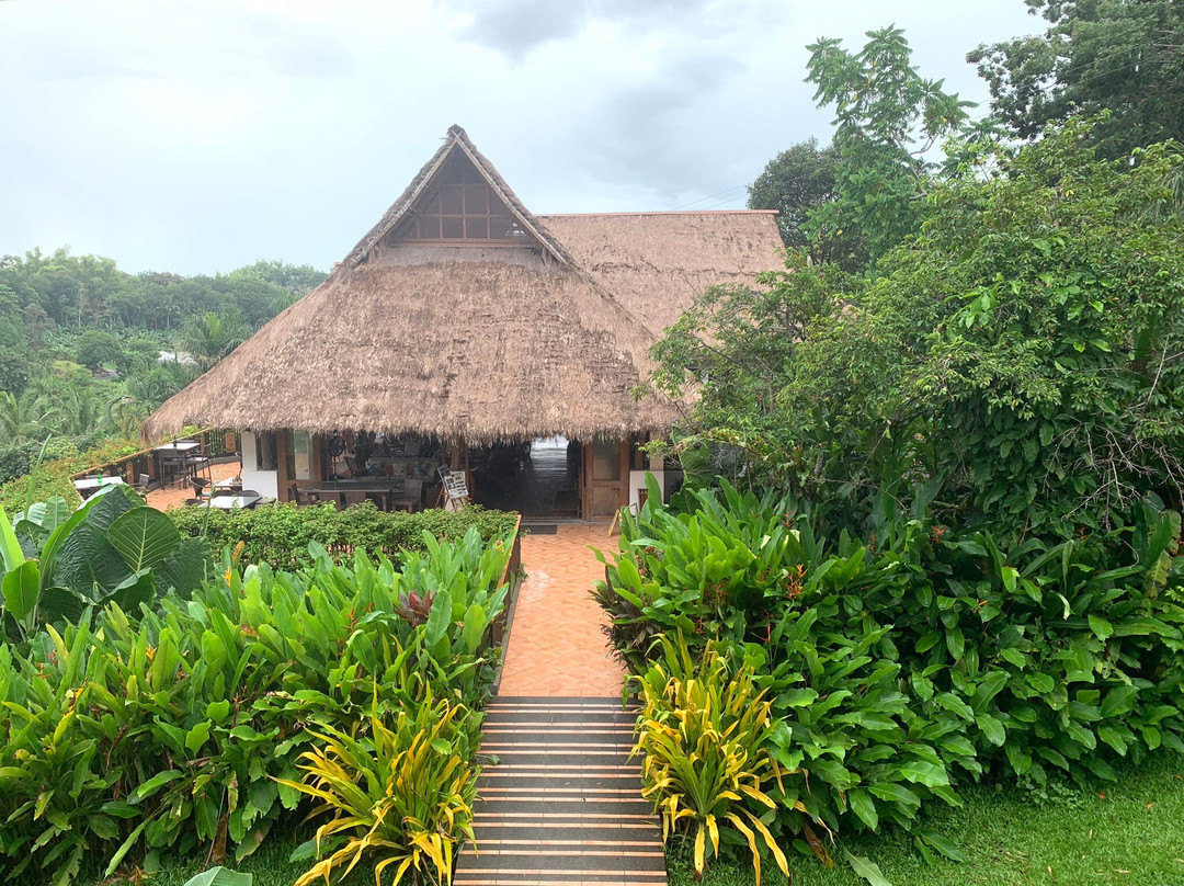 Damires Hills Tierra Verde主图