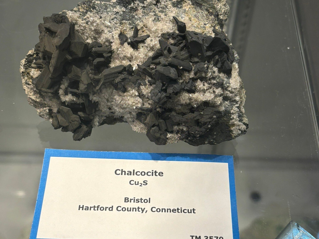 Mines Museum of Earth Science-戈尔登必去景点