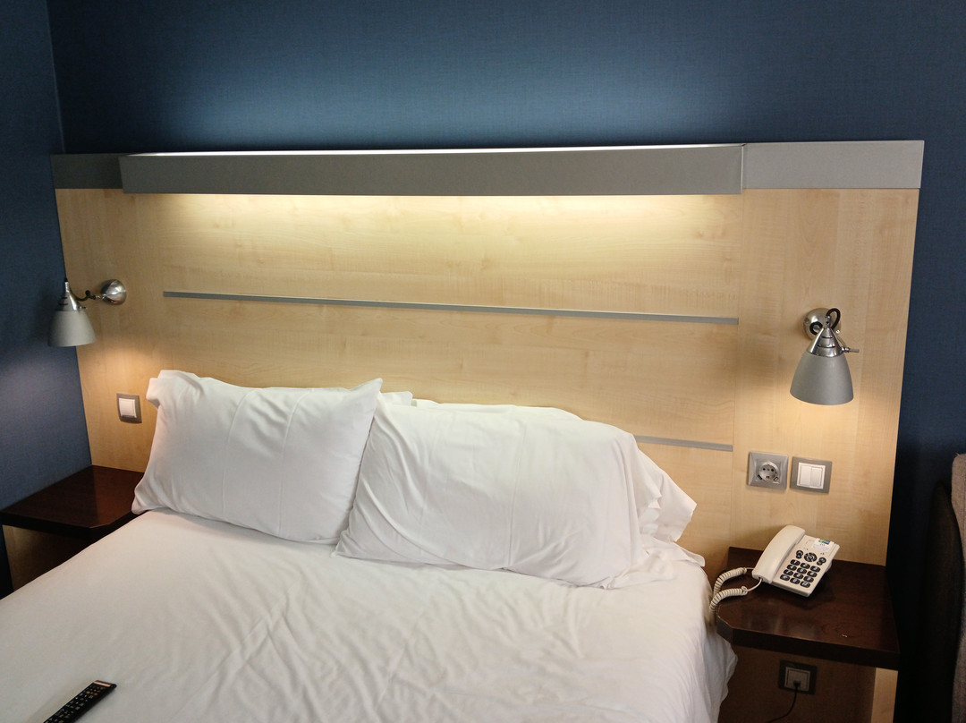 瓦伦西亚博内尔快捷假日酒店主图