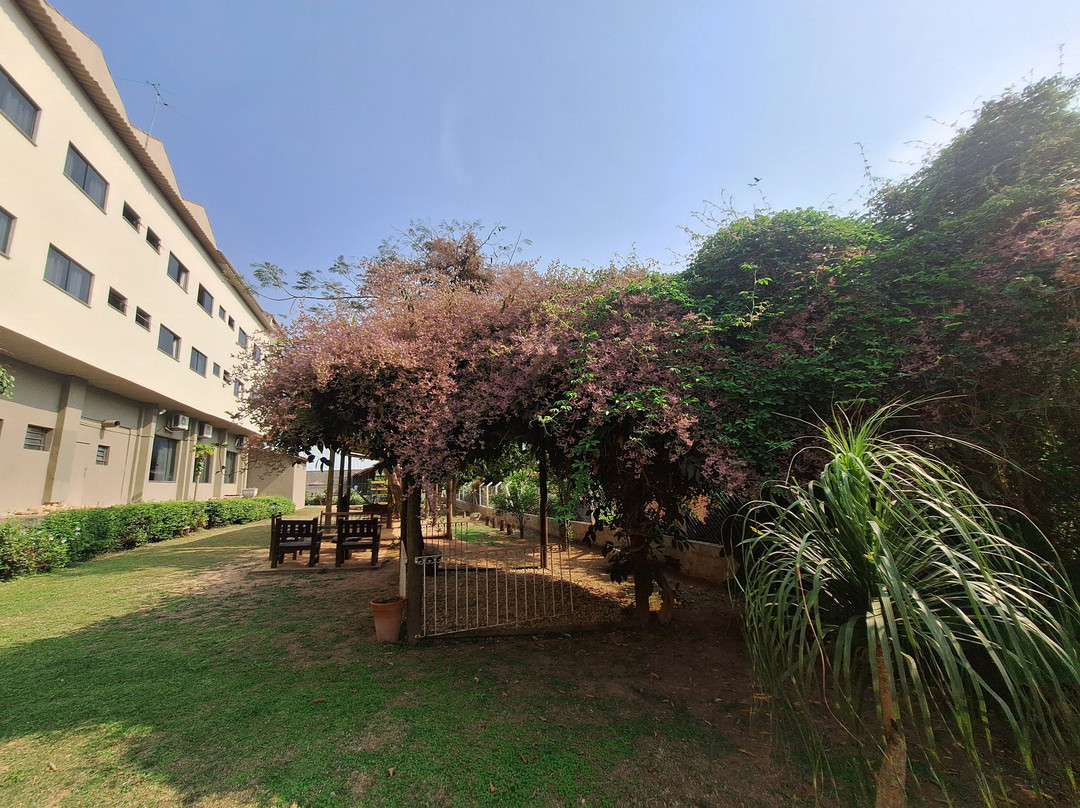 Hotel Santiago 33主图