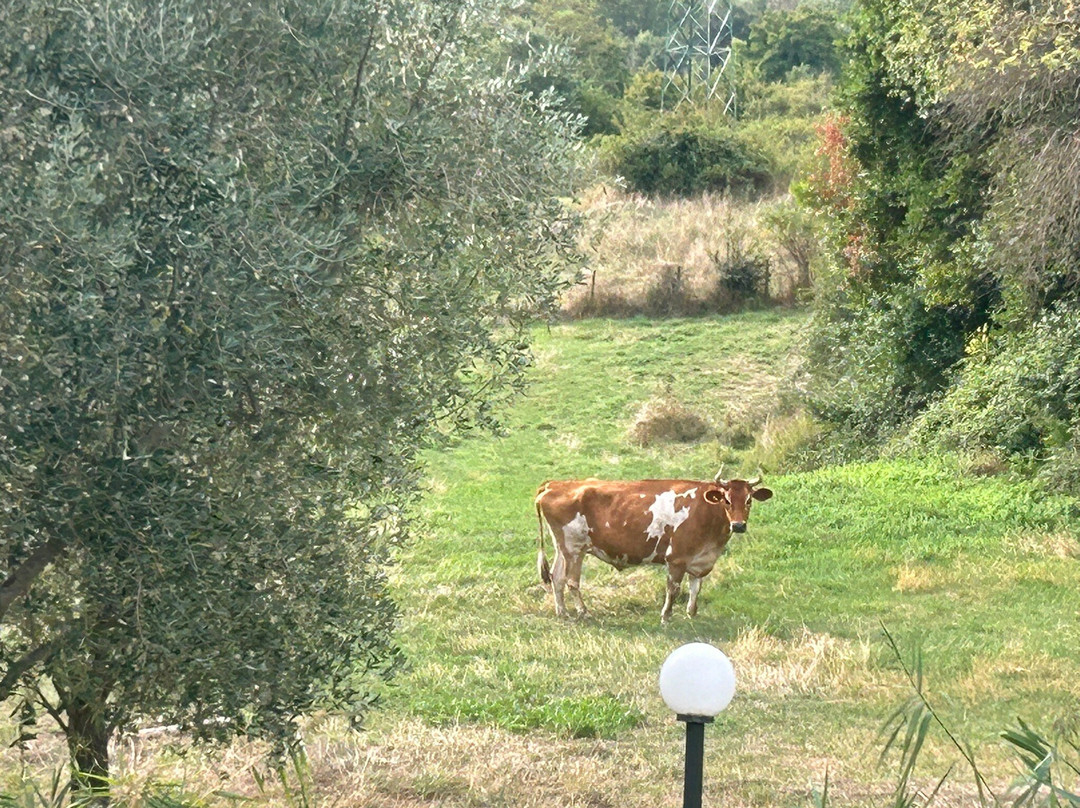 Pieve Vecchia