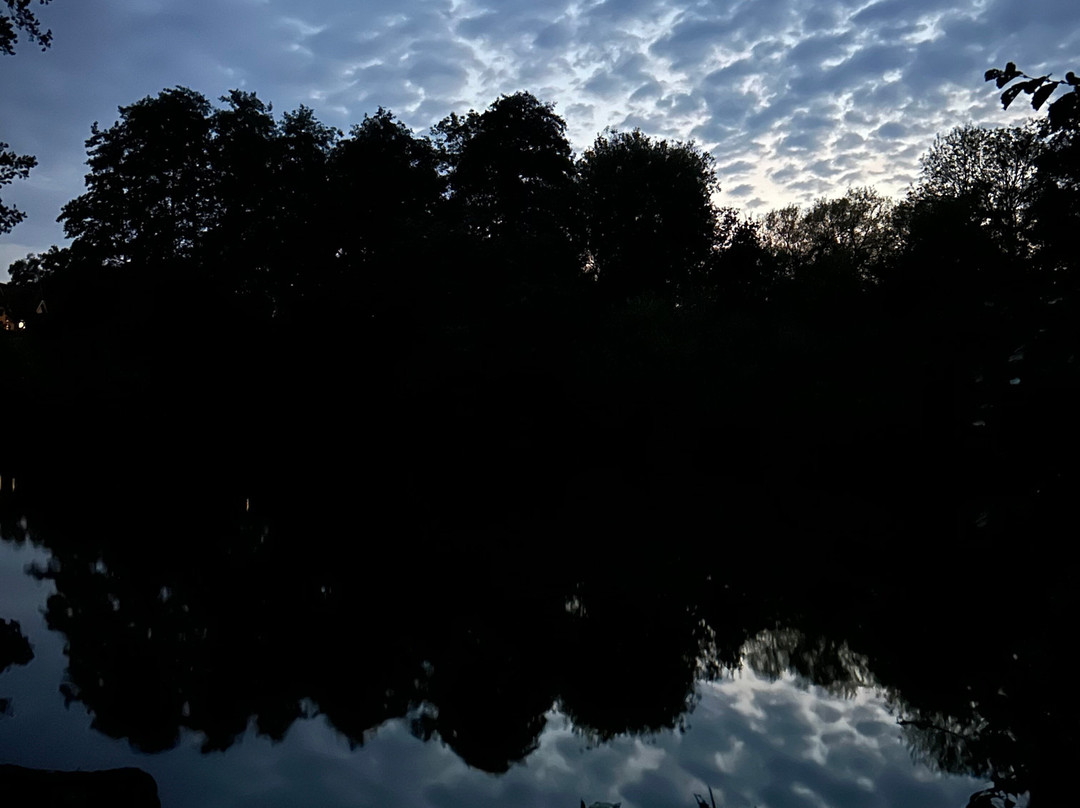 Alders Farm Fishery景点图片