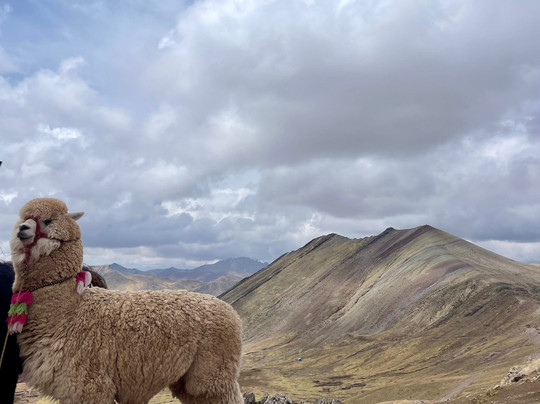 Nature Travel Peru-马丘比丘必去景点