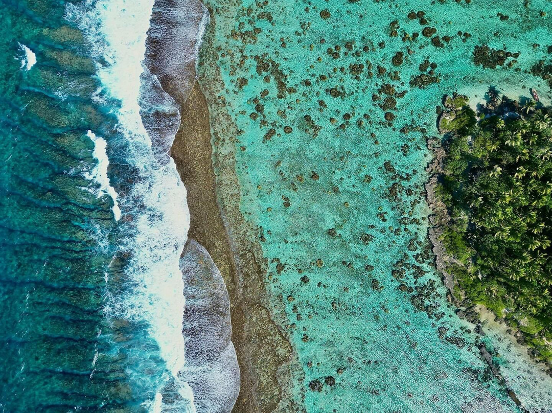 Motu Oatara - Ile Aux Oiseaux