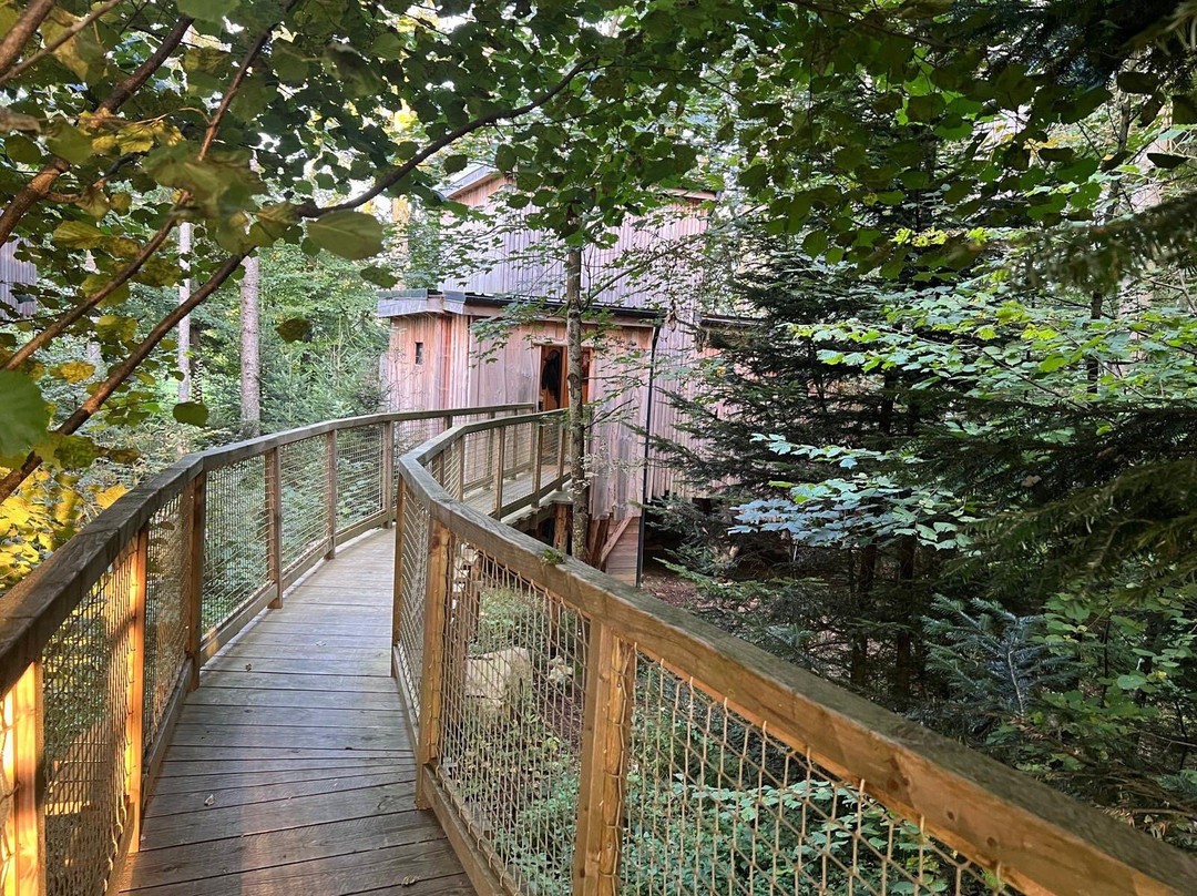Chambres d'Hôtes L'Authentique主图