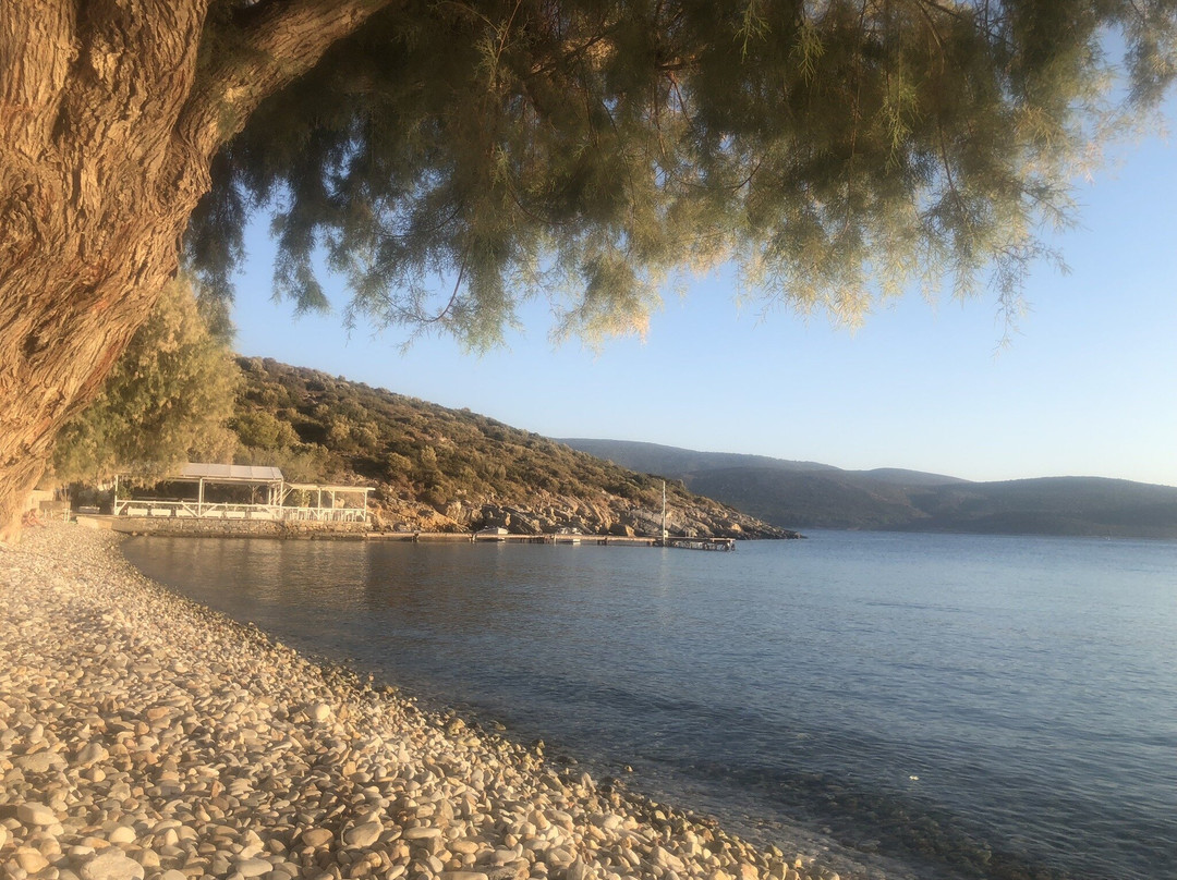 Klima Beach景点图片