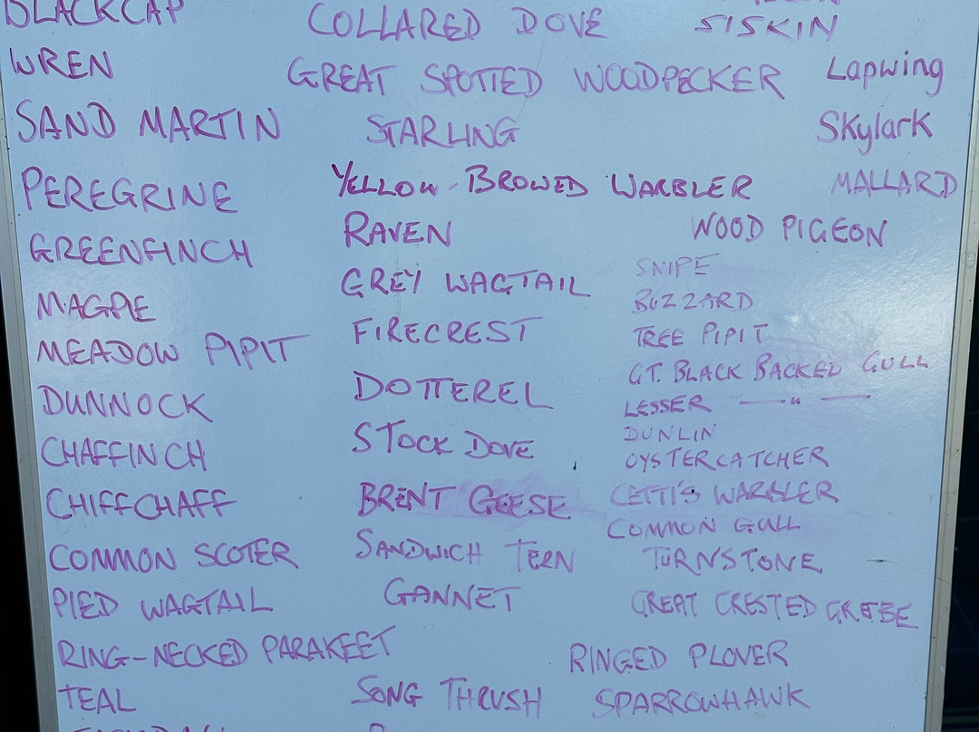 Sandwich Bay Bird Observatory-桑威治必去景点