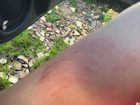 Piscinas Naturais Barra da Lagoa-弗洛里亚诺波利斯必去景点