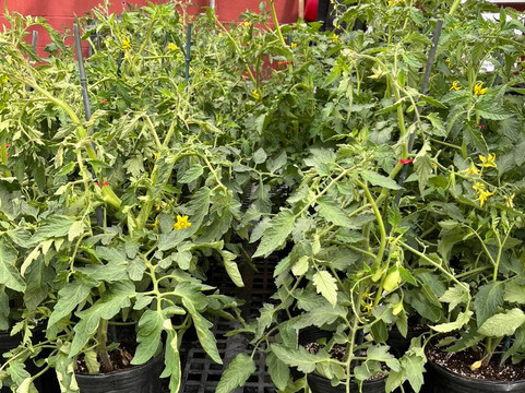 Huyck Farms-帕迪尤卡必去景点