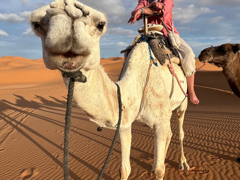 Marruecos Tours Desierto-马拉喀什必去景点