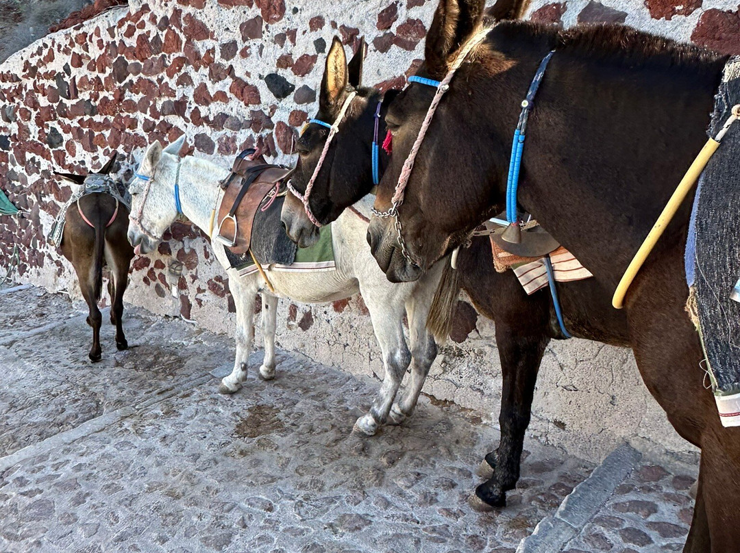 Oia Walking Tour (self Guided)-伊亚必去景点