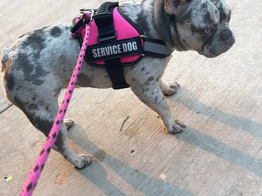 Travelodge by Wyndham Santa Maria主图