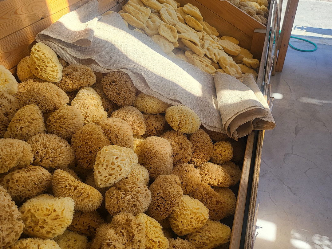 Factory of Natural Sponges-Pothia必去景点