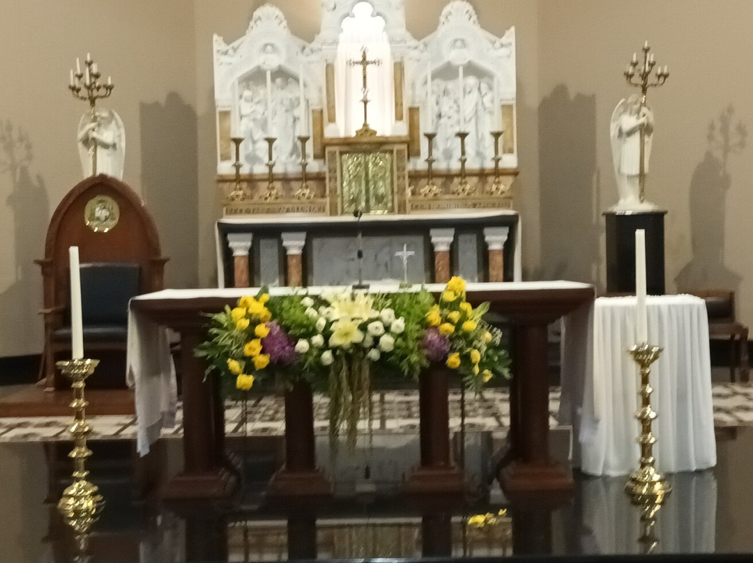 Saint Peter Cathedral Bandung景点图片