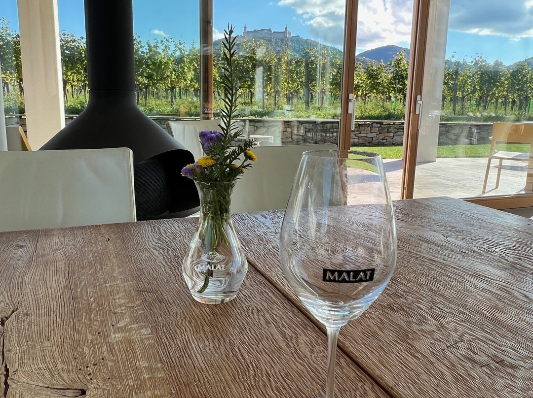 Malat Weingut und Hotel主图