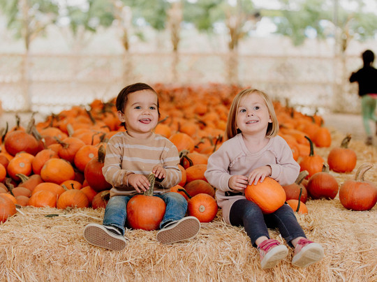Oma's Family Farm-Lakeside必去景点