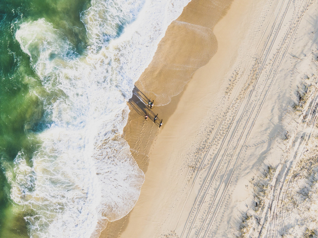反射通库里 - 假日公园