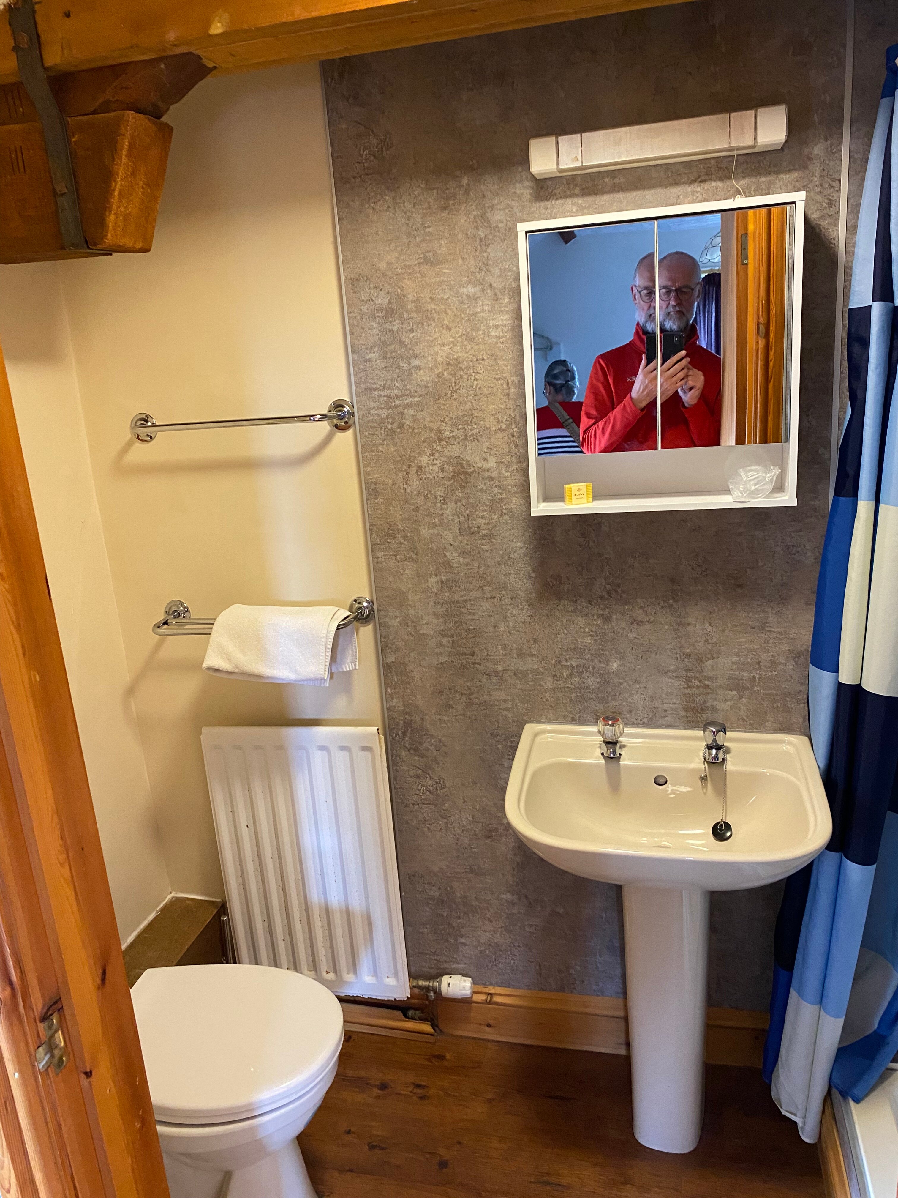Wheyrigg Hall Hotel-浴室