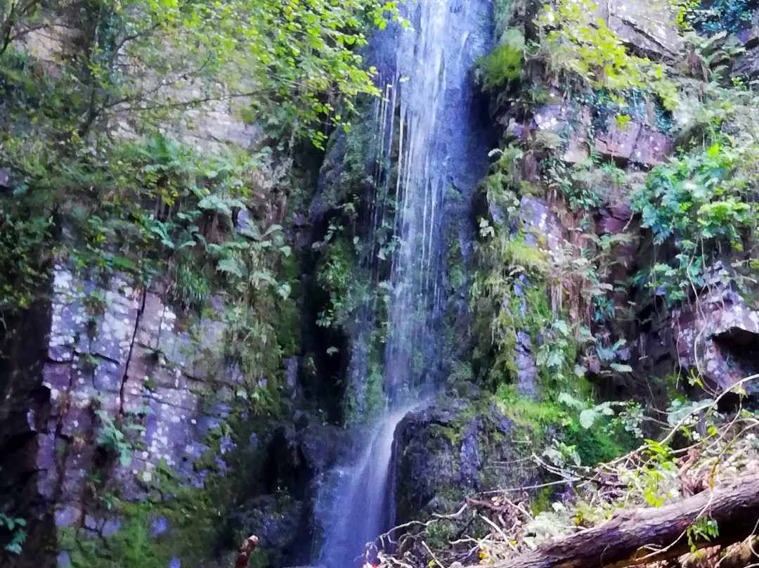Melincourt Waterfall景点图片