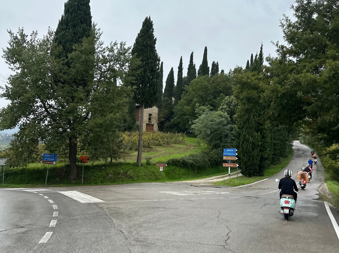 Tuscany on Wheels景点图片