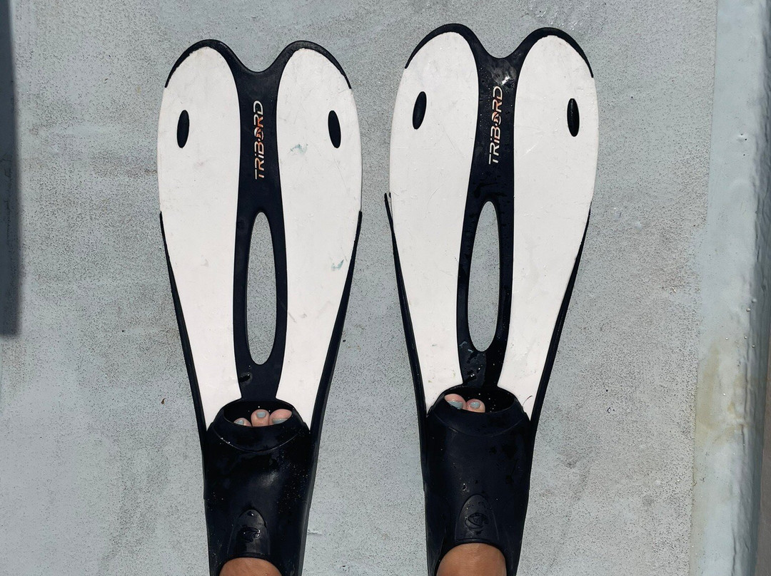 Nicky Blue Star boat trip Lembongan-Jungutbatu必去景点