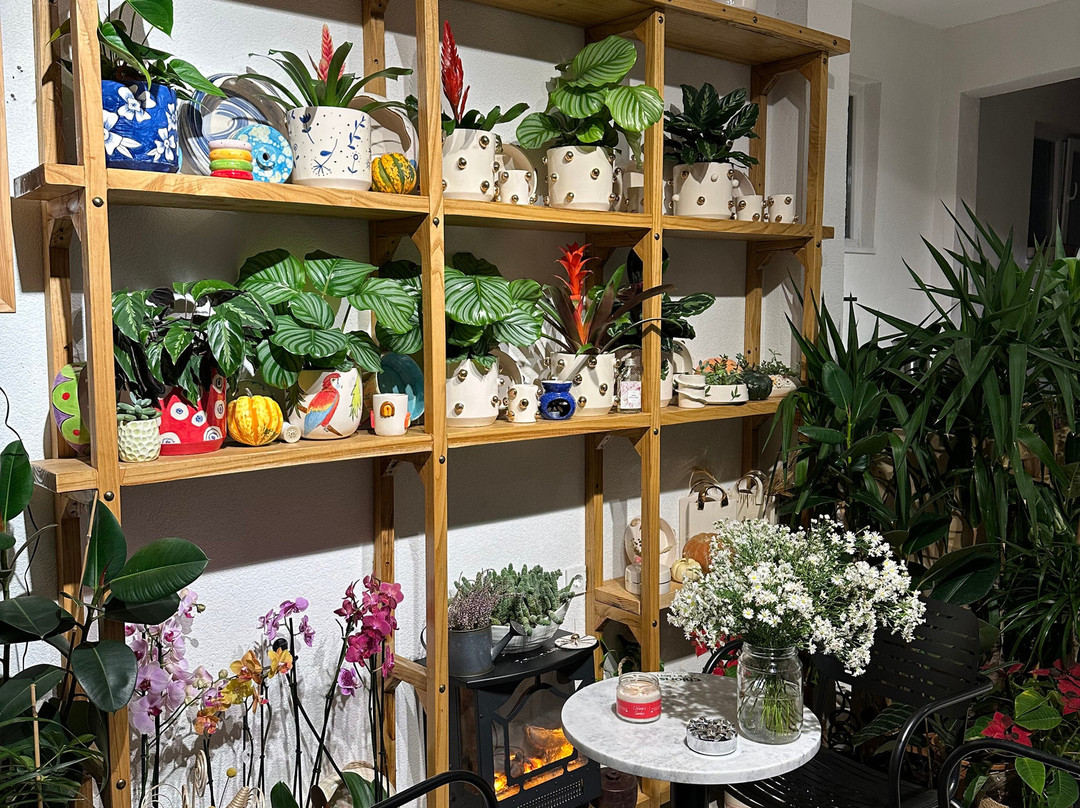 Chloris's Garden景点图片
