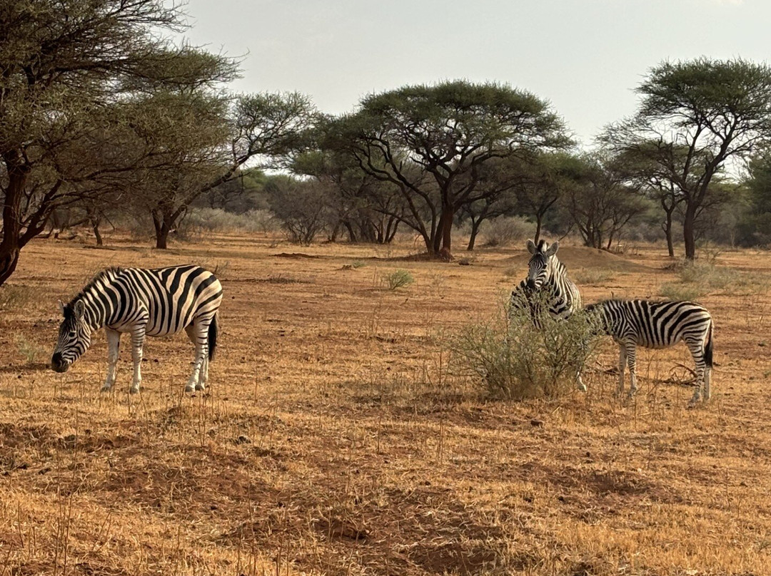 Letamo at Qwabi Private Game Reserve主图