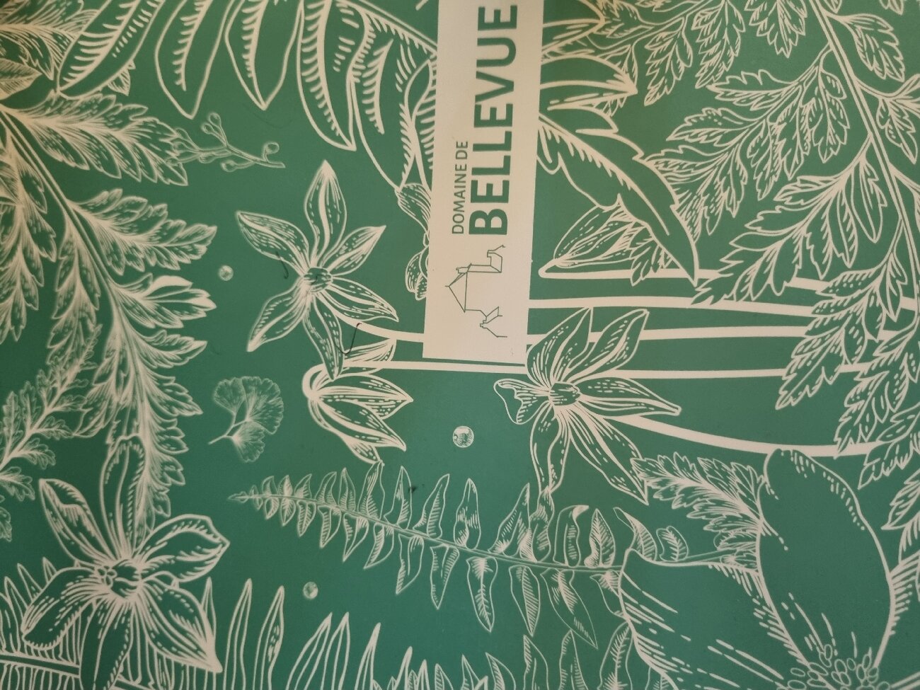Domaine De Bellevue-官方