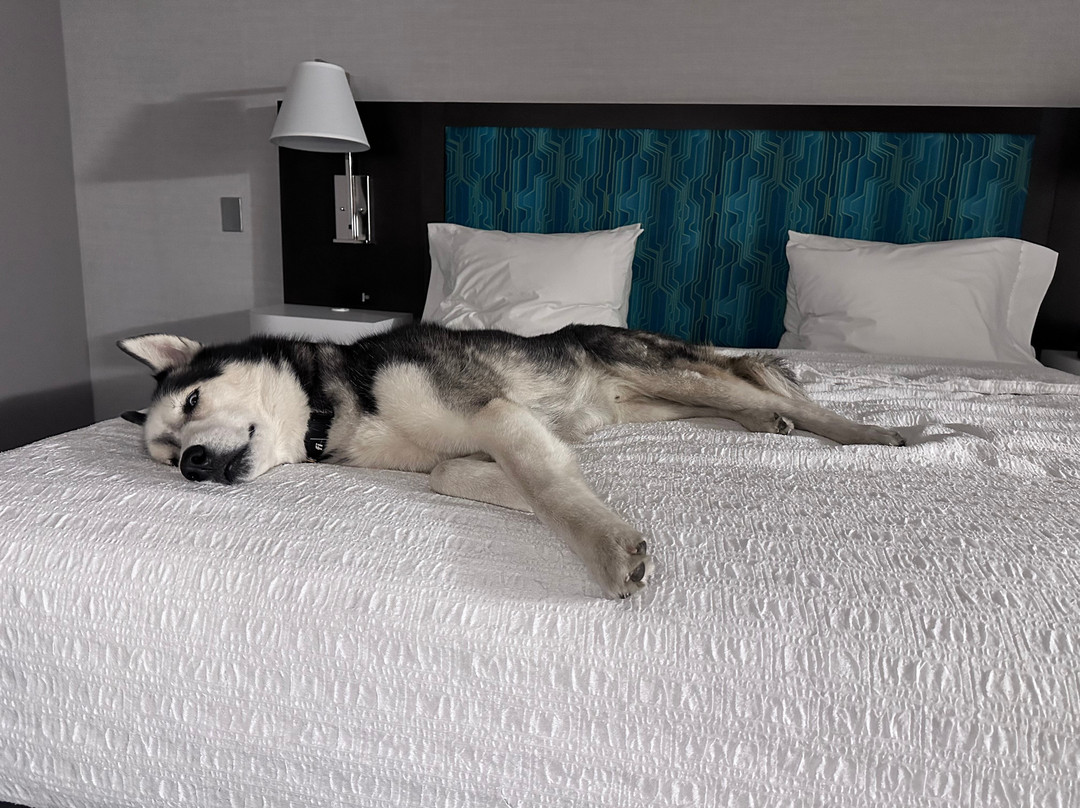 Hampton Inn & Suites Poughkeepsie主图