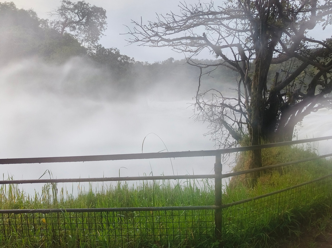 Jambo Eco Tours & Safaris-坎帕拉必去景点