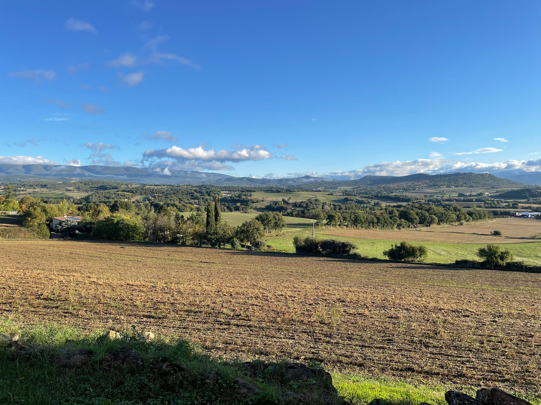 La Magnanerie en Provence主图