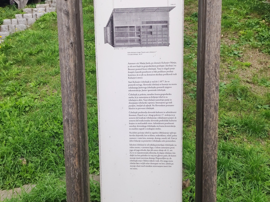 Anton Janša's Apiary景点图片