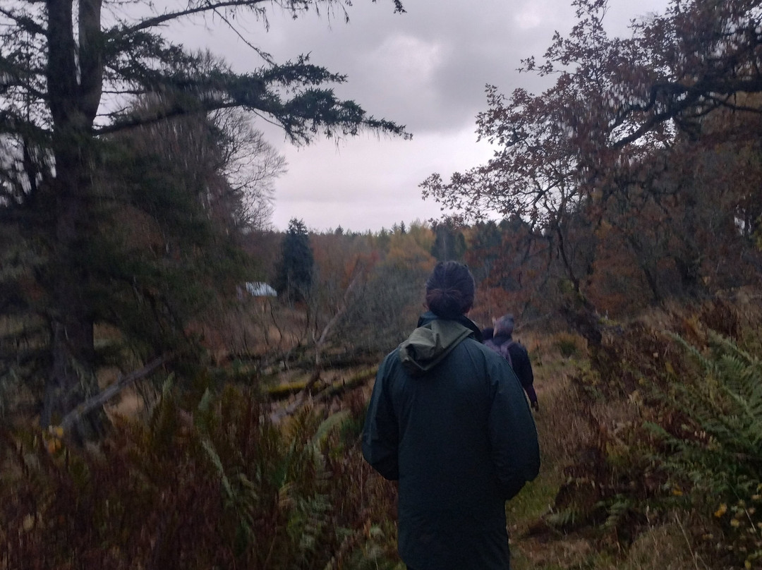 Perthshire Wildlife-Blairgowrie必去景点