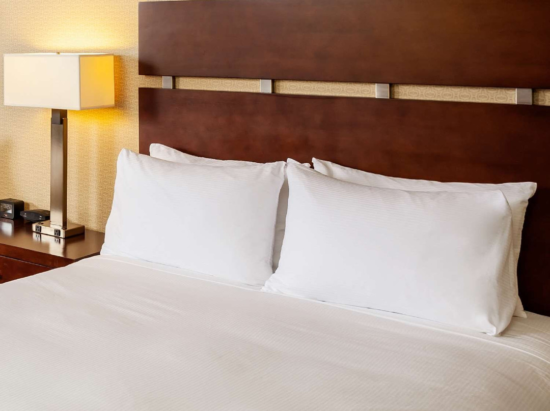 DoubleTree by Hilton Hotel Billings主图