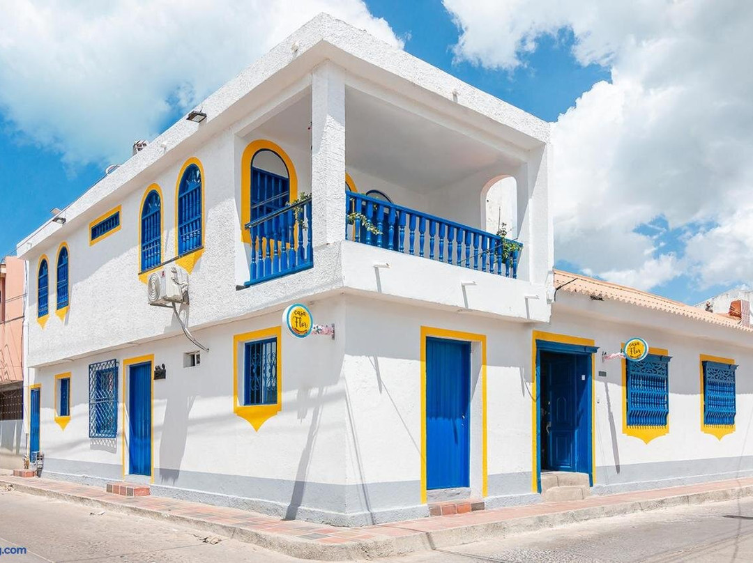 Casa Flor Hostel & Drinks