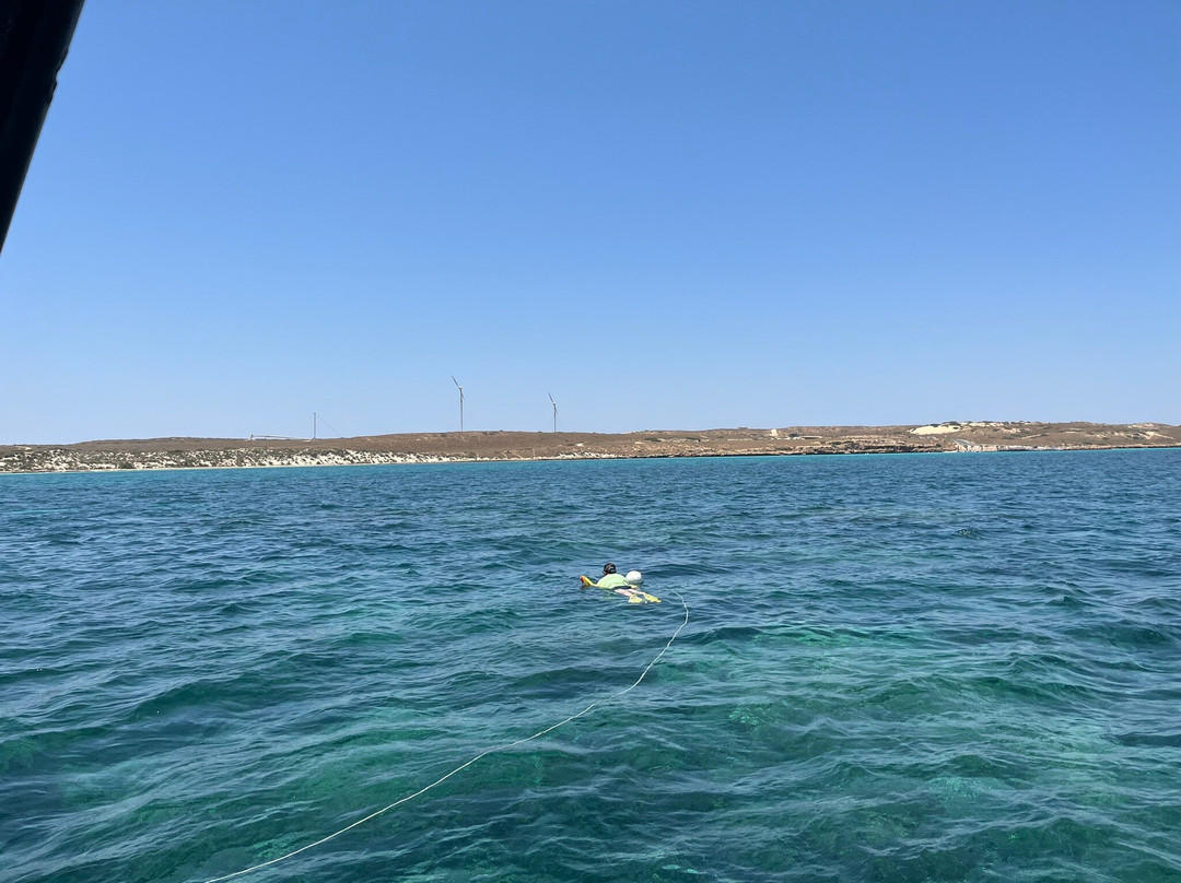 Ningaloo Coral Bay Boats-珊瑚湾必去景点